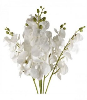 Pack of 6 x 100cm Artificial Phalaenopsis Orchid White Stem