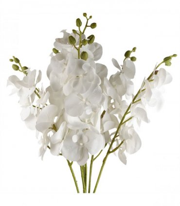 Pack of 6 x 100cm Artificial Phalaenopsis Orchid White Stem