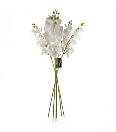 Pack of 6 x 100cm Artificial Phalaenopsis Orchid White Stem