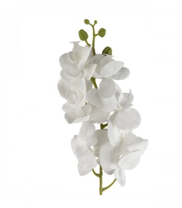 Pack of 6 x 100cm Artificial Phalaenopsis Orchid White Stem