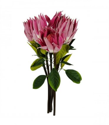 Pack of 6 x 65cm Protea Sugarbush Flower Stem - Pink