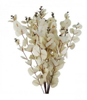 Pack of 6 x 80cm White Eucalyptus Foliage Stem