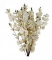 Pack of 6 x 80cm White Eucalyptus Foliage Stem