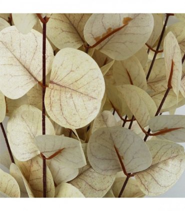 Pack of 6 x 80cm White Eucalyptus Foliage Stem
