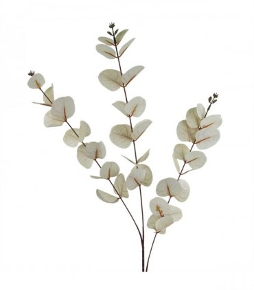 Pack of 6 x 80cm White Eucalyptus Foliage Stem