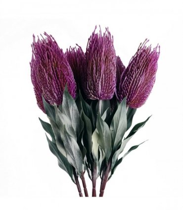 Pack of 6 x 75cm Banksia Menziesii Pink Flower Stem Artificial