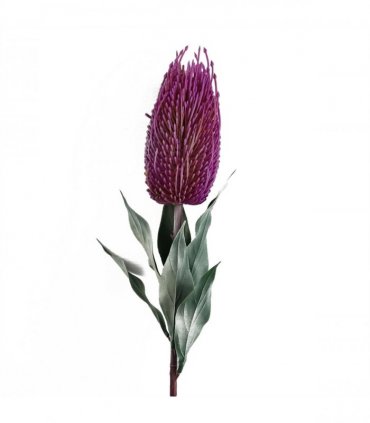 Pack of 6 x 75cm Banksia Menziesii Pink Flower Stem Artificial