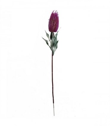 Pack of 6 x 75cm Banksia Menziesii Pink Flower Stem Artificial