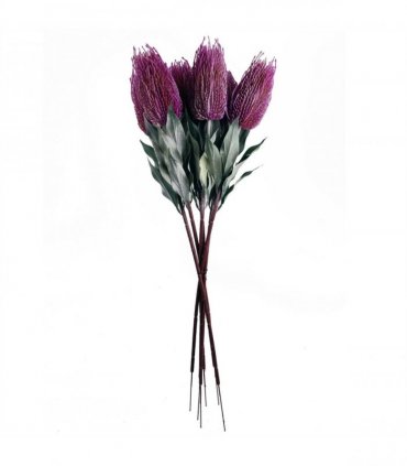 Pack of 6 x 75cm Banksia Menziesii Pink Flower Stem Artificial