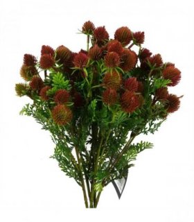 Pack of 6 x 55cm Craspedia Stem Red Artificial