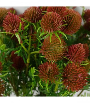 Pack of 6 x 55cm Craspedia Stem Red Artificial