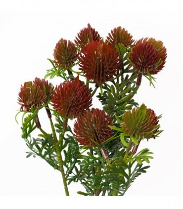 Pack of 6 x 55cm Craspedia Stem Red Artificial