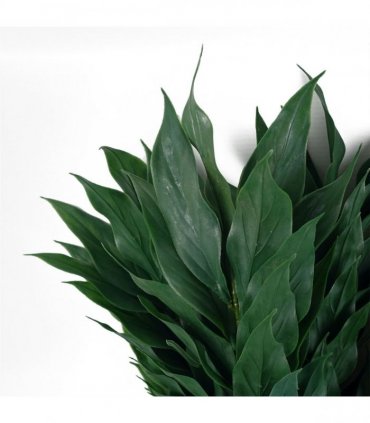 Pack of 6 x 100cm Artificial Plastic Decorative Leaf Spray