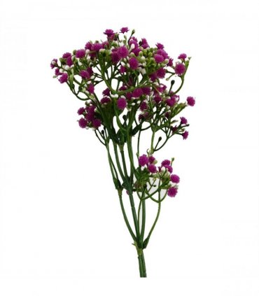 Pack of 6 x 55cm Gypsophila Pink Stem