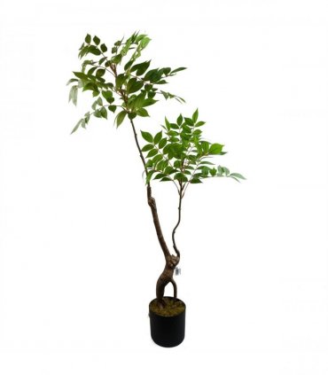 110cm Artificial Toona Sinensis Tree Evergreen