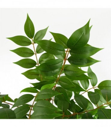 110cm Artificial Toona Sinensis Tree Evergreen