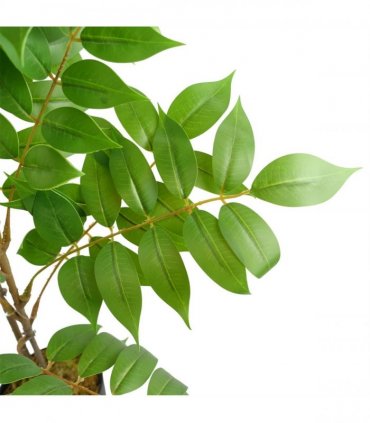 110cm Artificial Toona Sinensis Tree Evergreen