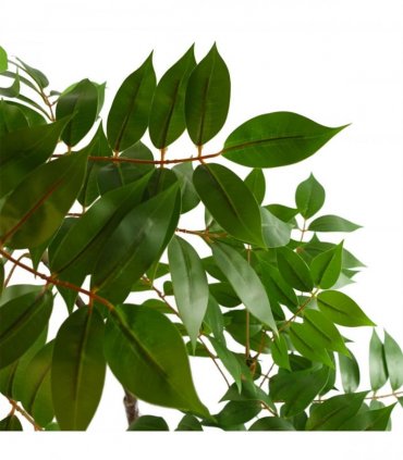 110cm Artificial Toona Sinensis Tree Evergreen
