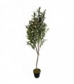 180cm Artificial Natural Look Olive Tree with Wooden Trunk