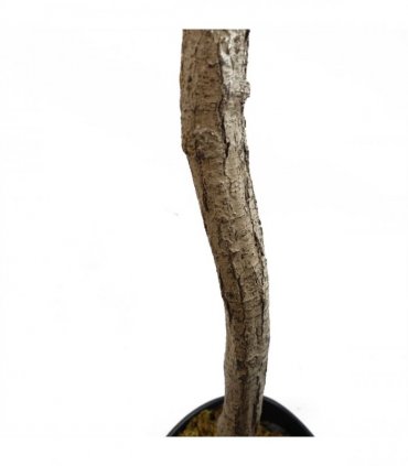 180cm Artificial Natural Look Olive Tree with Wooden Trunk