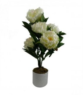 55cm Artificial White Peony Plant