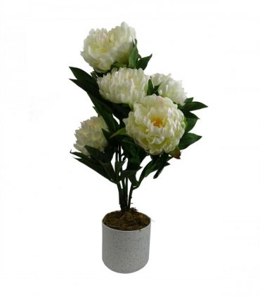 55cm Artificial White Peony Plant