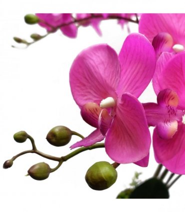 85cm Artificial Deluxe Bush Orchid - Dark Pink with Black Pot