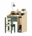 AIYAPLAY Kids Desk and Chair Set with Storage Shelves, Drawer, Green