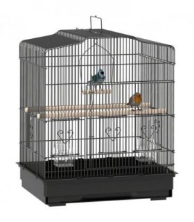 PawHut 59cm Large Bird Cage with Stand, Perches, Food Bowls, Swing, Black