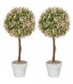 HOMCOM Set of 2 Decorative Artificial Plants, Cream White