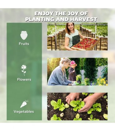 Outsunny Raised Garden Bed Planter Box with Greenhouse, Clear and Green