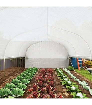 Outsunny Polytunnel Greenhouse W/ Roll-up Sidewalls, Mesh Door, 6 x 3 x 2m