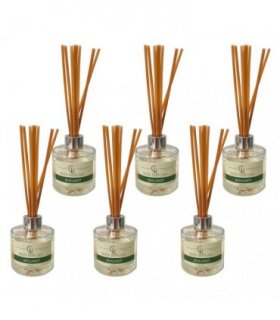 Reed Diffuser Oil Based 100ml Bergamot Pack of 6