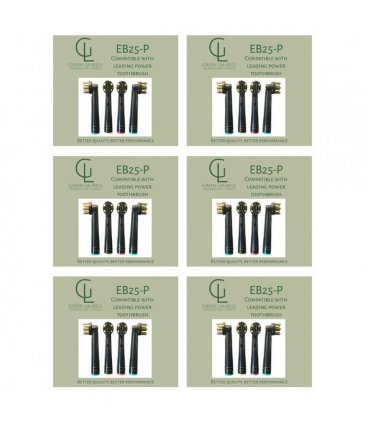 Recyclable Oral b head replacement toothbrush 6 Packs