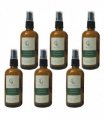 Aqueous Lime Basil Mandarin Room Spray 100ml in Amber Glass, 6 Bottles