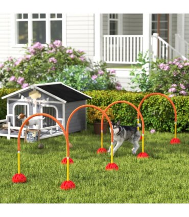 PawHut 4 Piece Dog Agility Training Equipment with Carry Bag, Orange
