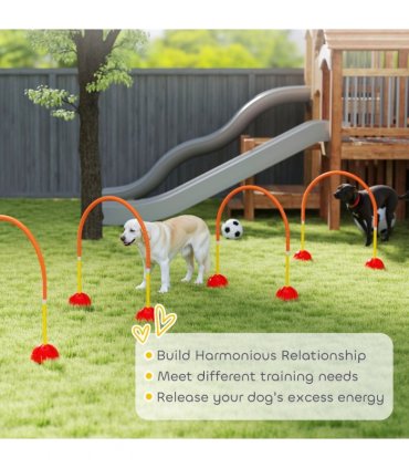 PawHut 4 Piece Dog Agility Training Equipment with Carry Bag, Orange