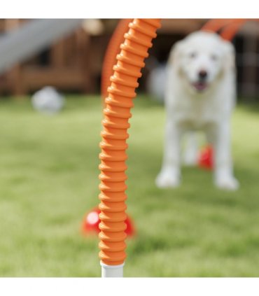 PawHut 4 Piece Dog Agility Training Equipment with Carry Bag, Orange
