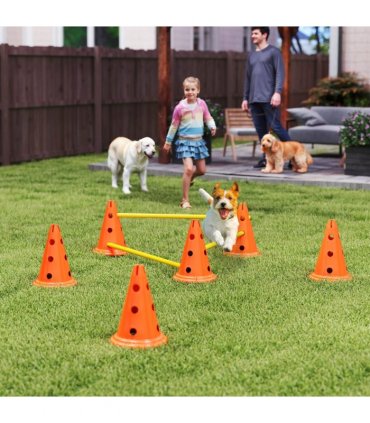 PawHut Dog Agility Equipment Set, 3 PCS Adjustable Height Jumping Obstacles