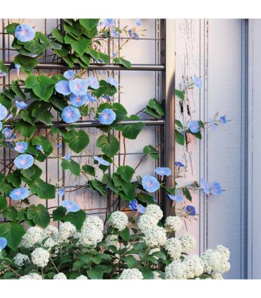 Durable Trellis Support for Climbing Plants - Enhance Garden Aesthetics