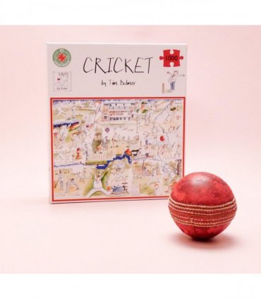 Tim Bulmer Cricket 1000 piece