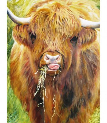 Highland Cow, 1000 Piece Jigsaw Puzzle