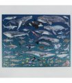 The Ocean 1000 Piece Jigsaw Puzzle