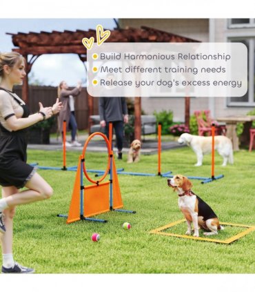 PawHut 6 Pieces Dog Agility Equipment, Obstacle Training Course Kit, Orange