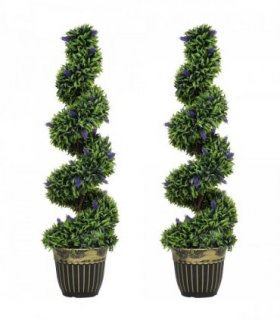 Elegant Spiral Boxwood & Lavender Plant Set – Low Maintenance Decor