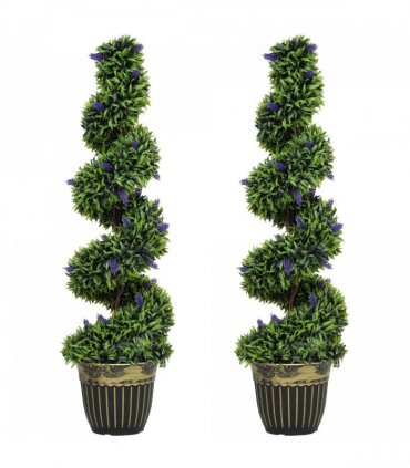 Elegant Spiral Boxwood & Lavender Plant Set – Low Maintenance Decor