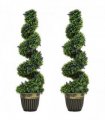 Elegant Spiral Boxwood & Lavender Plant Set – Low Maintenance Decor
