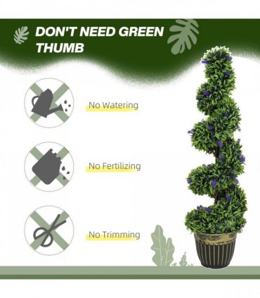 Elegant Spiral Boxwood & Lavender Plant Set – Low Maintenance Decor