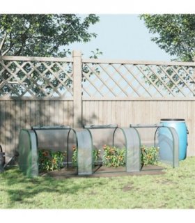 Mini Greenhouse