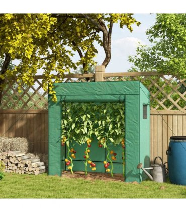Mini Walk-in Greenhouse